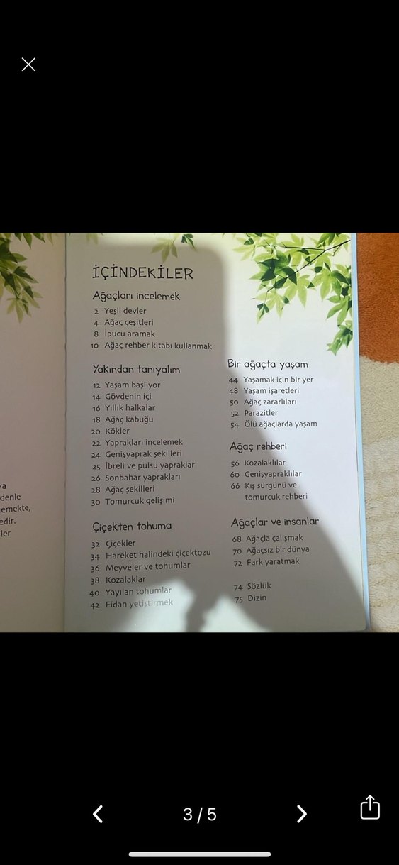 Doğa: Ağaçlar TÜBİTAK Bilgi Kitabı - Görsel 3