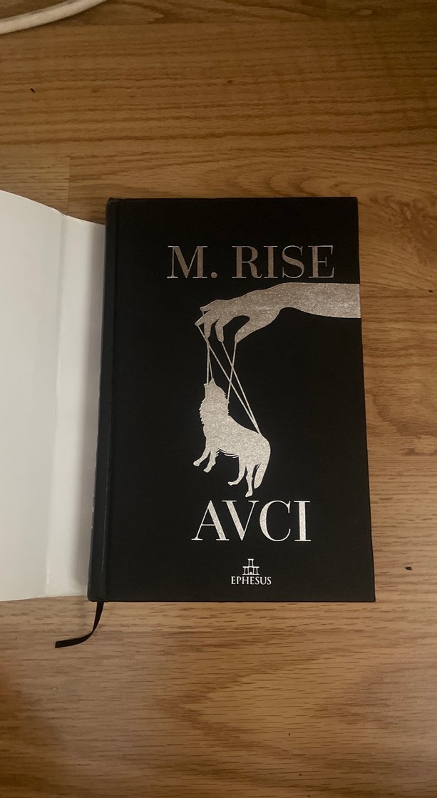 M. Rise - Avcı 3 - Görsel 2