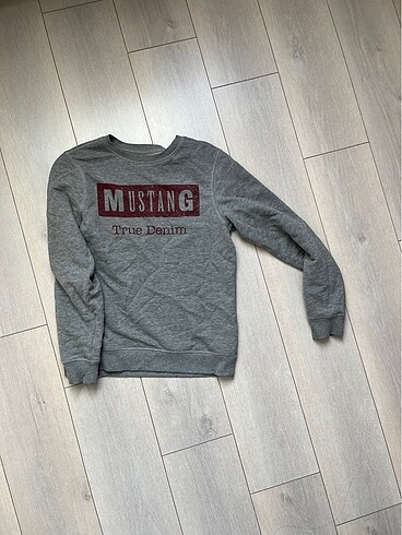 Erkek sweatshirt