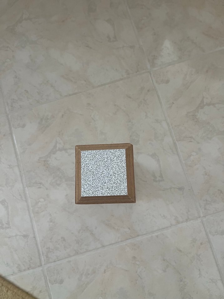 Kırmızı Gül Desenli Cam Fanus - Görsel 2