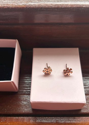 Yeni gümüş kadın küpe - Görsel 4