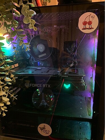 Beden Gamin pc
