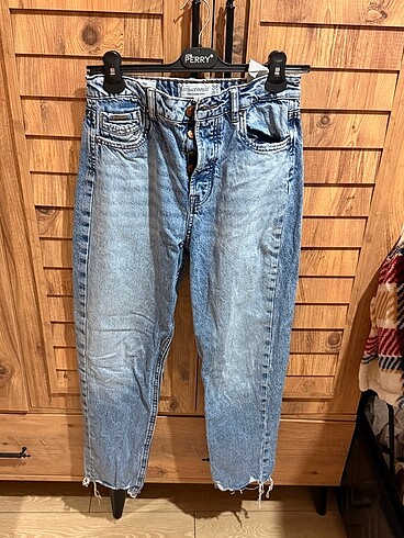 Stradivarius Kot