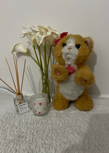 furreal friends daisy - Görsel 12