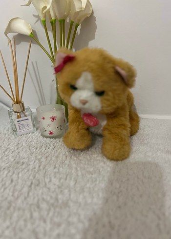 furreal friends daisy - Görsel 9