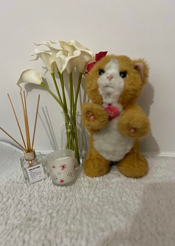 furreal friends daisy - Görsel 11