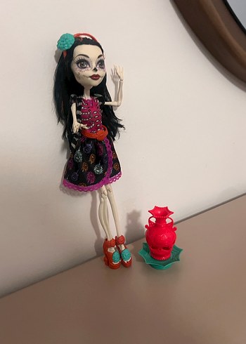 monster high skelita - Görsel 6