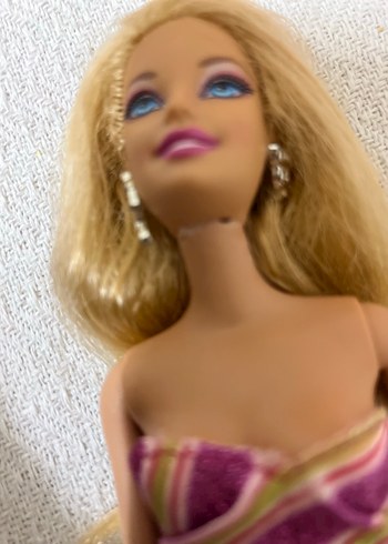 Barbie barbie a perfect christmas