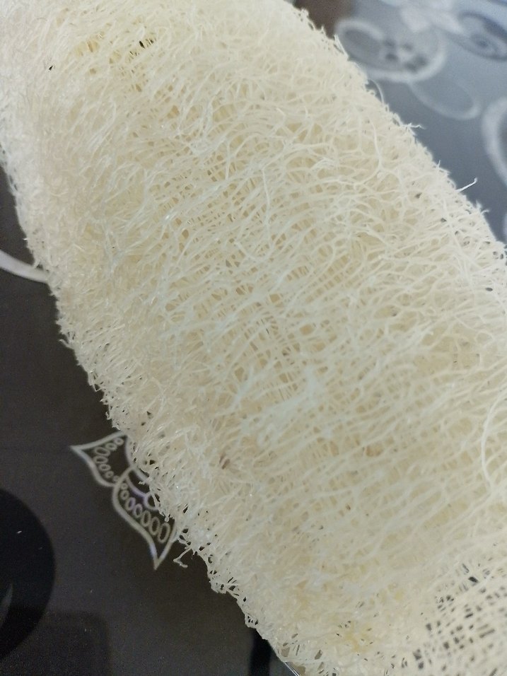 organik kabak lifi  adet fiyatı 60 tl - Görsel 3