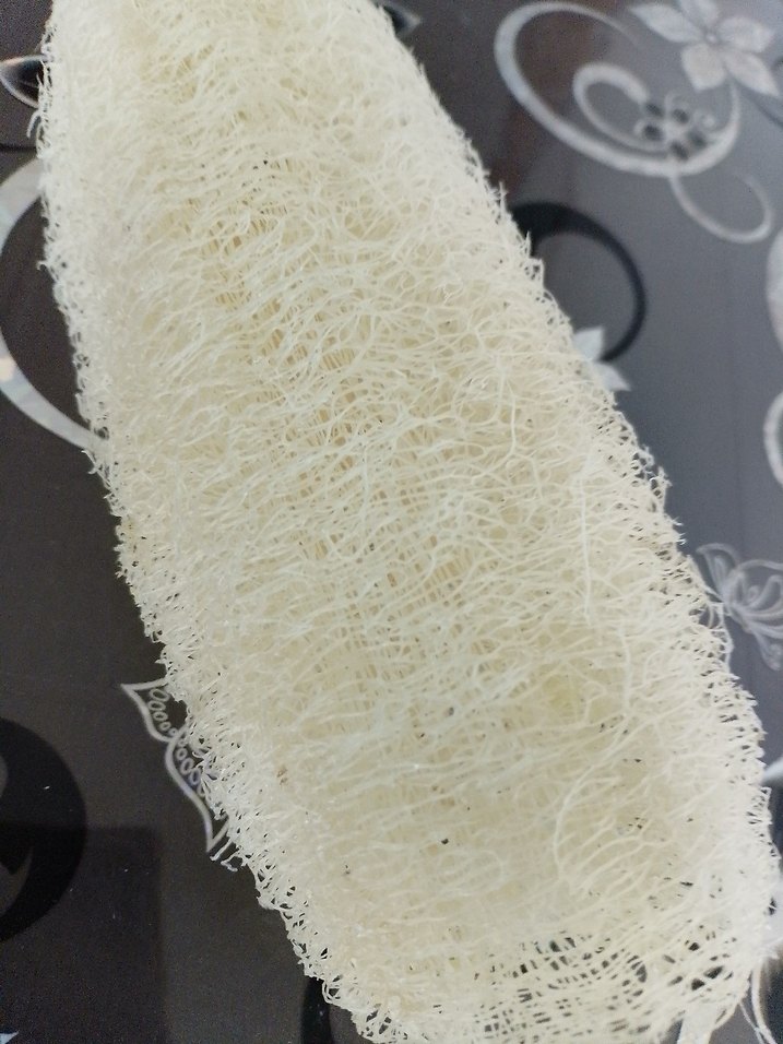 organik kabak lifi  adet fiyatı 60 tl - Görsel 4