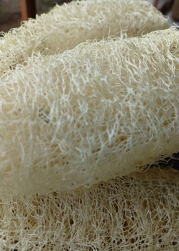 Doğal Beyaz Banyo Süngeri 20 cm âdet fiyatı - Görsel 3