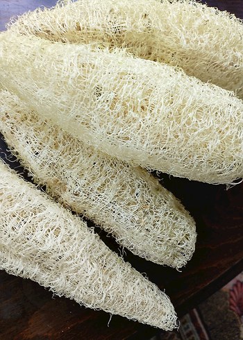 Doğal Beyaz Banyo Süngeri 20 cm âdet fiyatı - Görsel 2