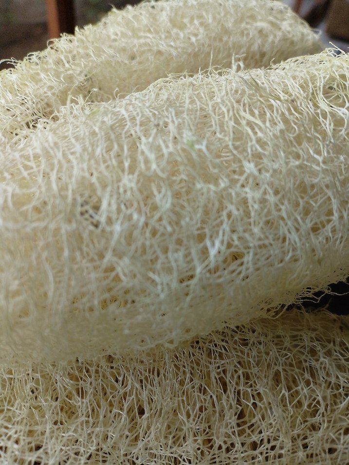 Doğal Beyaz Banyo Süngeri 20 cm âdet fiyatı - Görsel 3