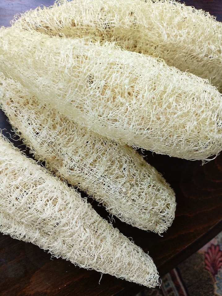 Doğal Beyaz Banyo Süngeri 20 cm âdet fiyatı - Görsel 2