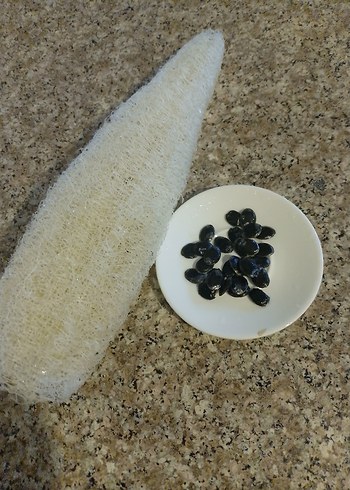 lif kabağı tohumu 25 adet - Görsel 2