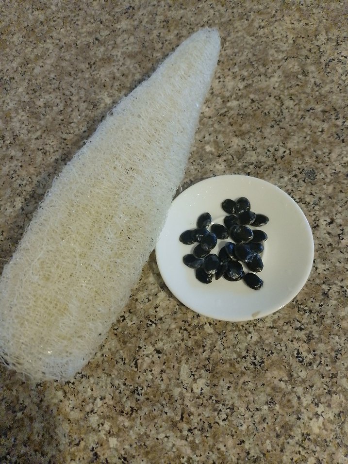 lif kabağı tohumu 15 adet 35 tl - Görsel 2