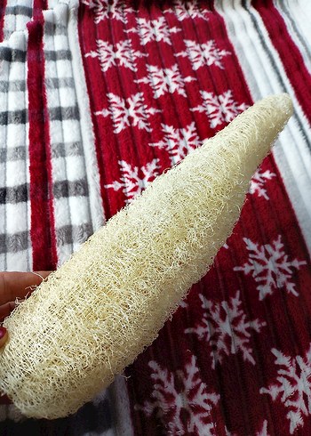 Sarı Doğal Duş Süngeri adet fiyatı 85tl 28cm - Görsel 7