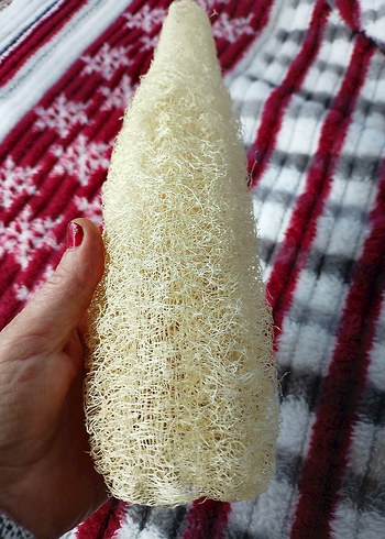 Sarı Doğal Duş Süngeri adet fiyatı 85tl 28cm - Görsel 4