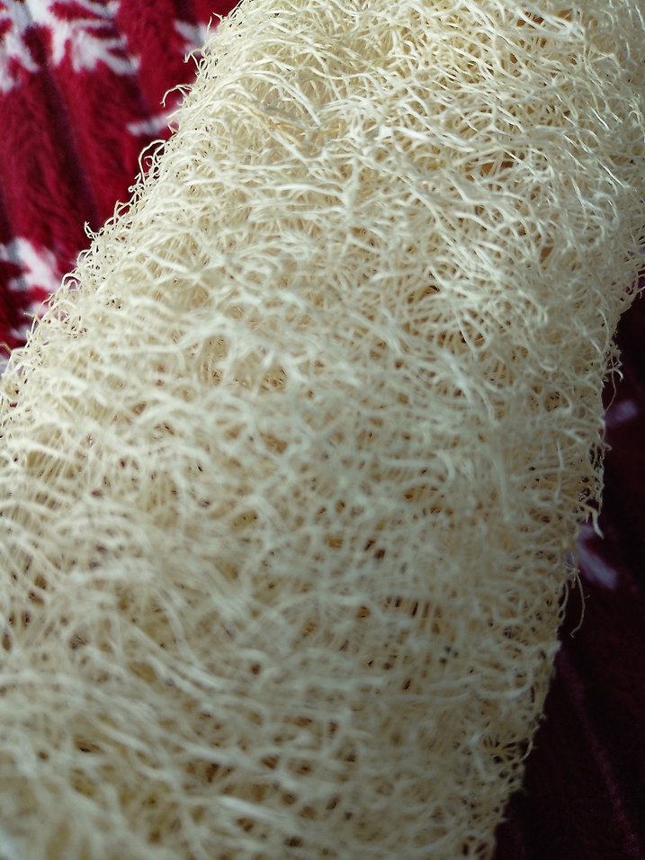 Sarı Doğal Duş Süngeri adet fiyatı 85tl 28cm - Görsel 3