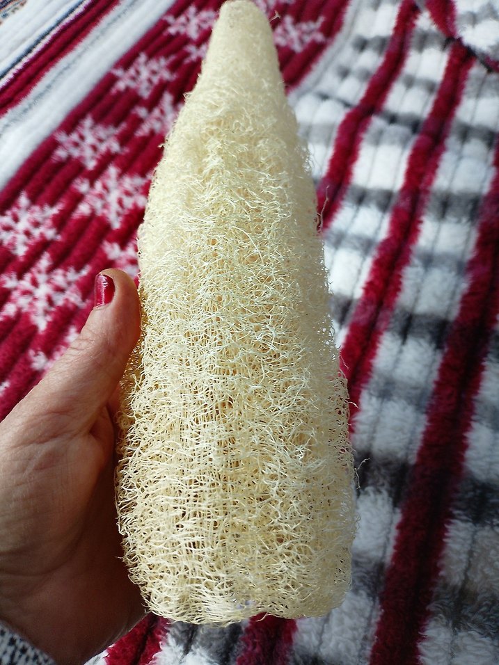 Sarı Doğal Duş Süngeri adet fiyatı 85tl 28cm - Görsel 4