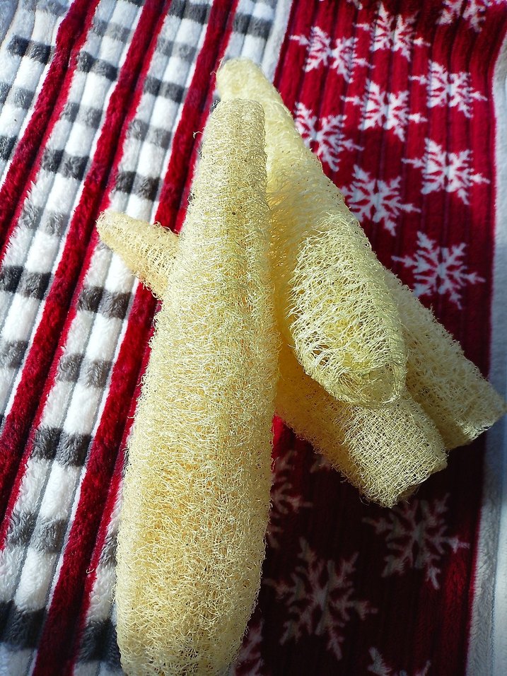 Sarı Doğal Duş Süngeri adet fiyatı 85tl 28cm - Görsel 2