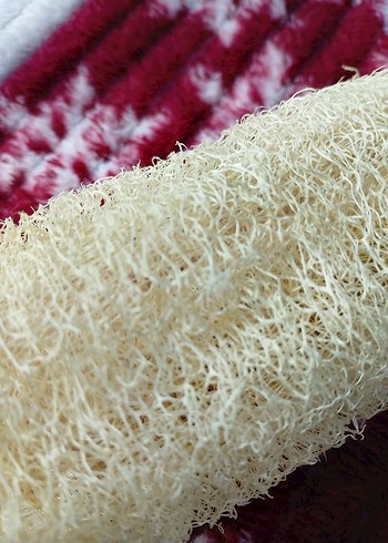 Beyaz Doğal Banyo Süngeri - Görsel 6