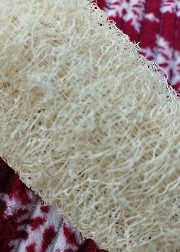 Beyaz Doğal Banyo Süngeri - Görsel 4