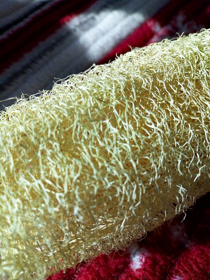 Beyaz Doğal Banyo Süngeri - Görsel 5