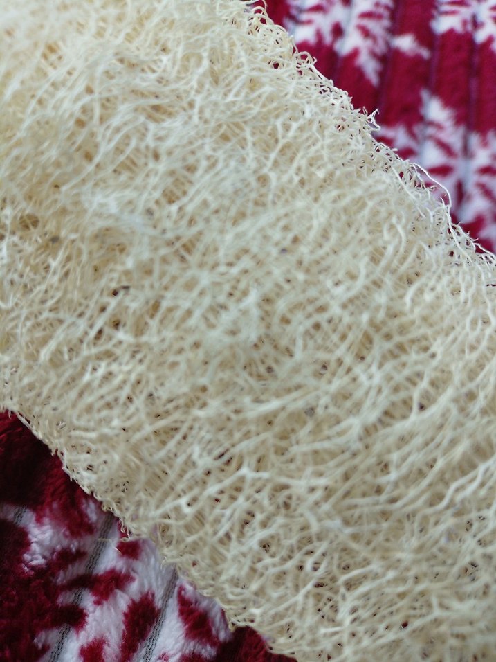 Beyaz Doğal Banyo Süngeri - Görsel 4