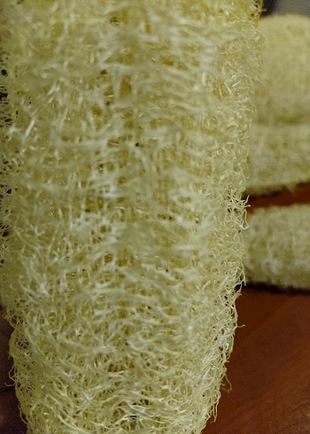 Bej Banyo Lif Süngeri organik kabak lifi adet fiyatı 55tl - Görsel 5