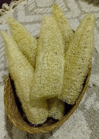 Bej Banyo Lif Süngeri organik kabak lifi adet fiyatı 55tl - Görsel 4