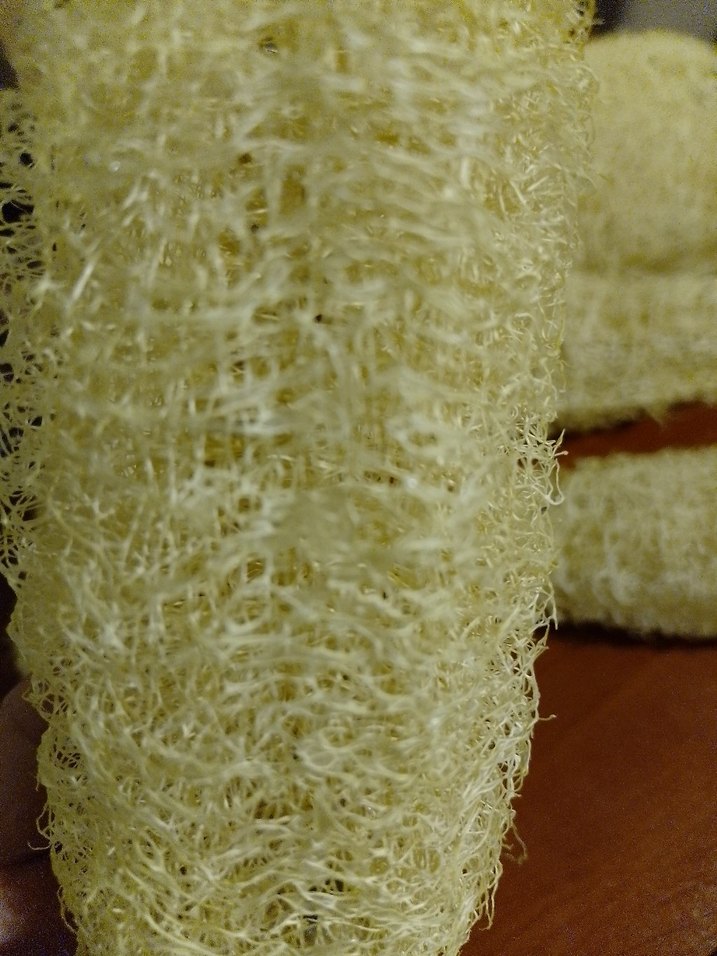 Bej Banyo Lif Süngeri organik kabak lifi adet fiyatı 55tl - Görsel 5