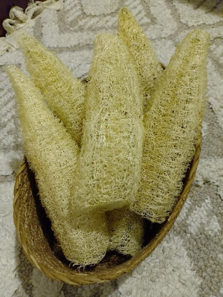 Bej Banyo Lif Süngeri organik kabak lifi adet fiyatı 55tl - Görsel 4