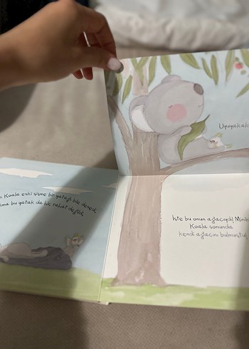 Koala ve Ayıcık Minik Kitap Seti