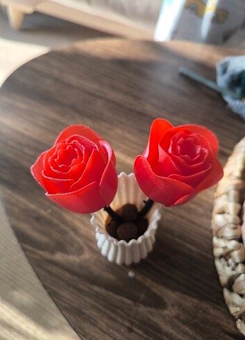 Diğer 3D Baskı Hizmetleri 