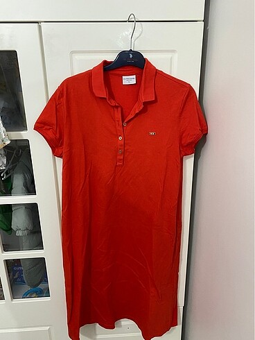 Polo yaka elbise