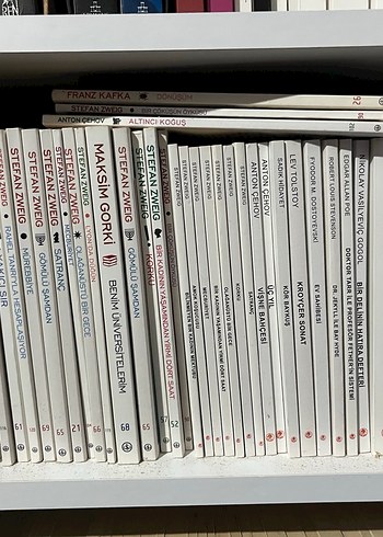 Klasik Edebiyat Roman - Görsel 2