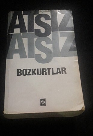 atsız kitap