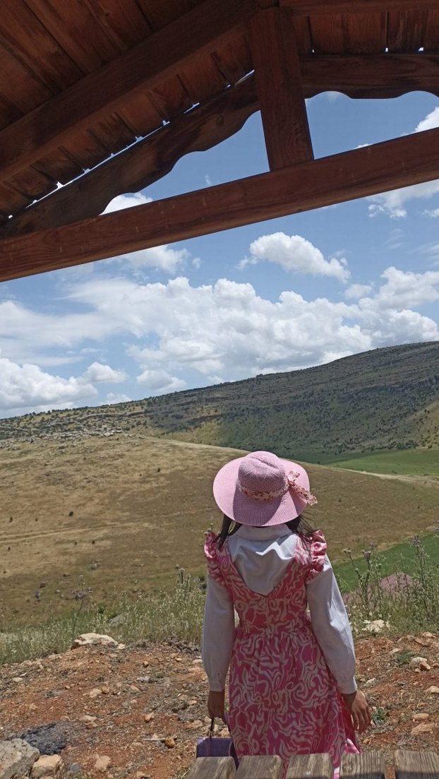 Pembe Bağlamalı Uzun Bohem Elbise - Görsel 5