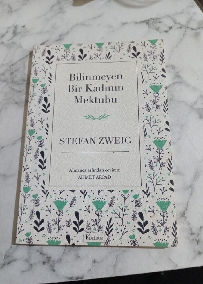 Bilinmeyen Bir Kadının Mektubu - Görsel 2