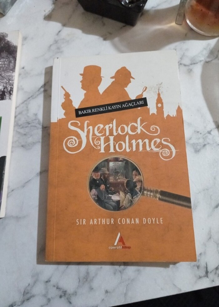 Sherlock Holmes Bakır Renkli Kayın Ağaçları - Görsel 3