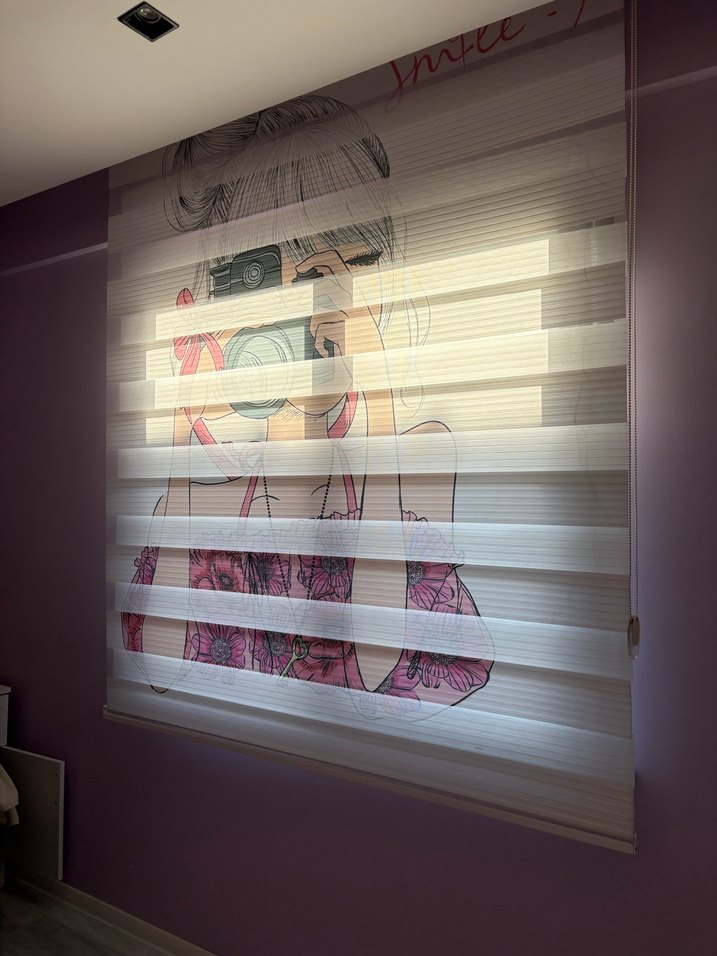 Detaylı zebra stor perde - Görsel 2