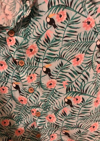 Bebek Erkek Kısa Kollu Düğmeli Gömlek ve Beyaz Şort 18-24 ay lcw - Görsel 2