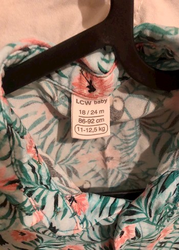 Bebek Erkek Kısa Kollu Düğmeli Gömlek ve Beyaz Şort 18-24 ay lcw - Görsel 3