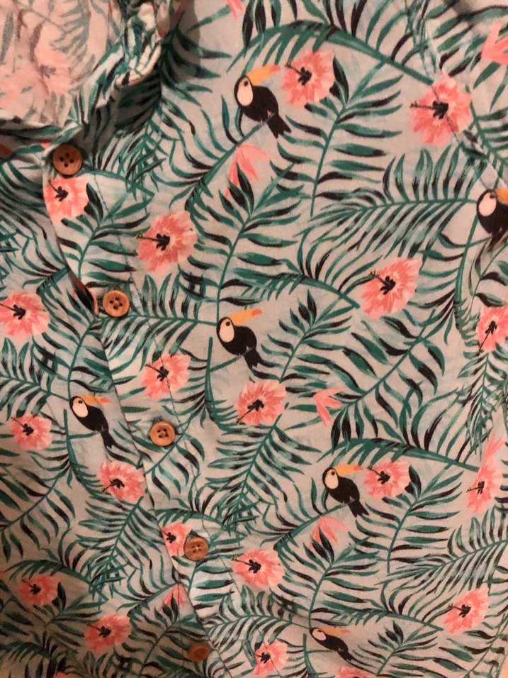 Bebek Erkek Kısa Kollu Düğmeli Gömlek ve Beyaz Şort 18-24 ay lcw - Görsel 2