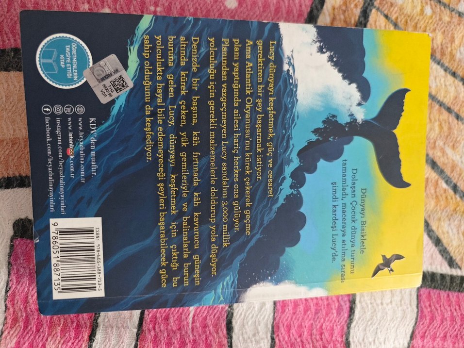 Okyanusu Kürekle Geçen Kız Çizgi Roman - Görsel 2