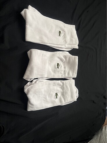 Lacoste Lacoste orijinal