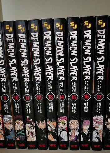 Demon Slayer Ingilizce Manga