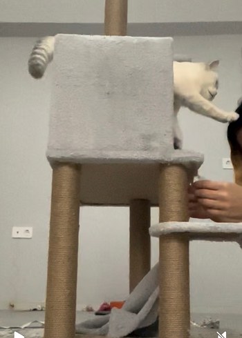 Gri Kedi Tırmanma ve Oyun Evi - Görsel 2