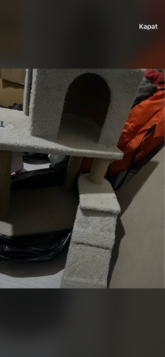 Gri Kedi Tırmanma ve Oyun Evi - Görsel 3